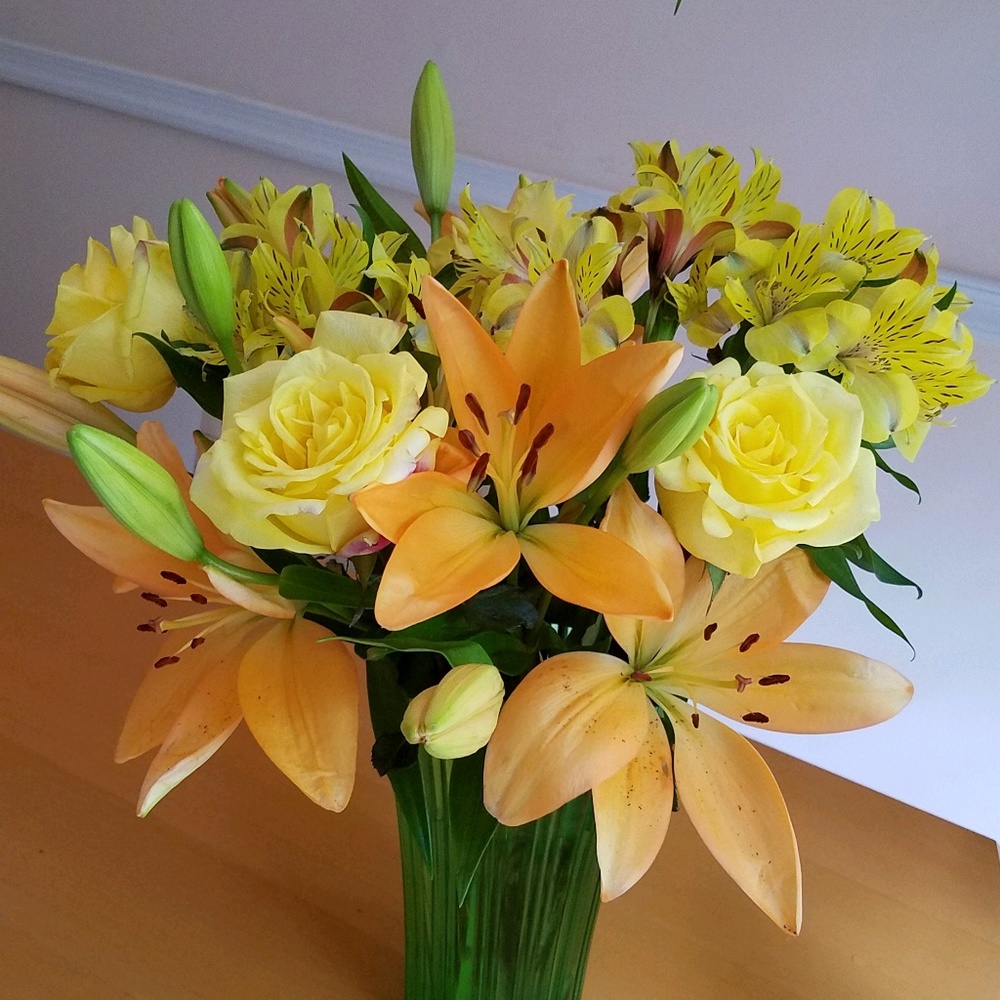 Meet your Posher, Maven